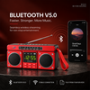 BR Retro Red/Black