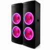 TS Pair Dj 15 Inch