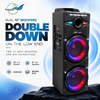TS Double 12 Inch